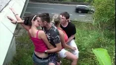 Afspelen Twee pornokoppels hebben seks in het openbaar