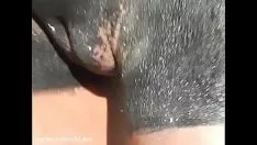 Afspelen Wat een grote en stoere borsten heeft deze dame