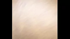 Play Dirty Talking Brunette Gets Hard Doggystyle Fuck
